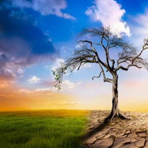 1679268550791 1679268550791